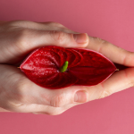 How to Make Your Period Come Fater: Natural and Medical Insights